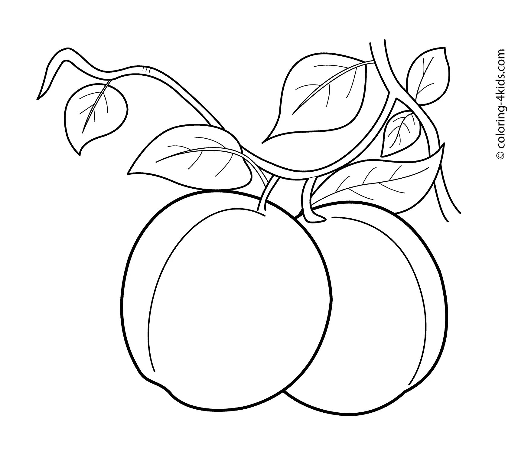 Coloriage alimentation les fruits imprimer in 2020 Fruit crafts, Art, Vegetable 