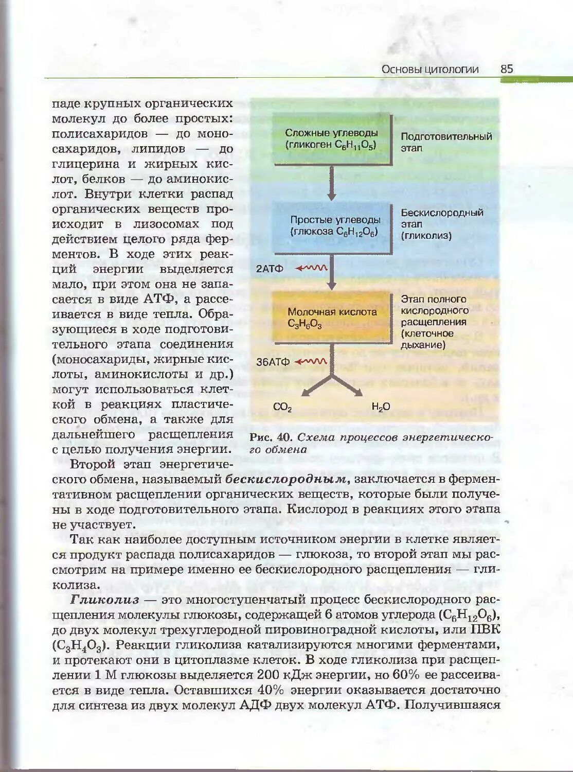 Биология 11 класс каменский криксунов. Каменский Криксунов Пасечник биология 10 11 класс. Учебник по биологии 10-11. Биология 10 класс Каменский конспекты. Общая биология 10-11 класс 26 параграф.