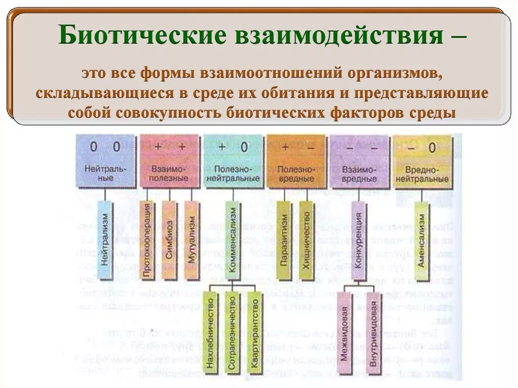 Какие отношения складываются между организмами. Типы взаимоотношений организмов схема. Типы биотических взаимодействий схема. Биотические взаимоотношения схема. Тип биотических взаимоотношений организмов.