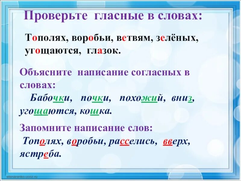 Как проверить слово корзина. Правописание слова бабочка. бабочка проверочное слово. мотылек проверочное слово. как проверить слово.