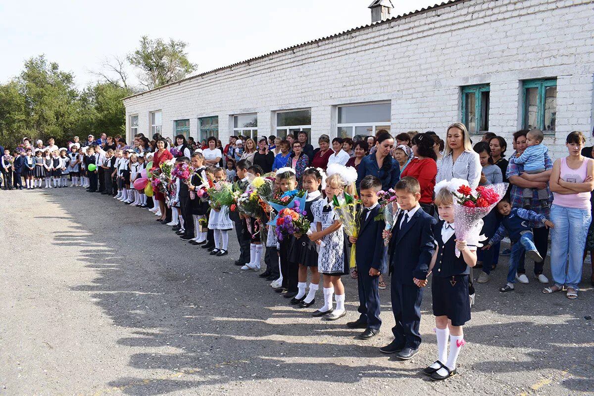 Погода золотари палласовский район. Поселок Золотари Палласовского района школа. Волгоградская область Палласовский район село Золотари. Посёлок красный октябрь Волгоградская область Палласовский район. Школа красный октябрь Палласовский район.