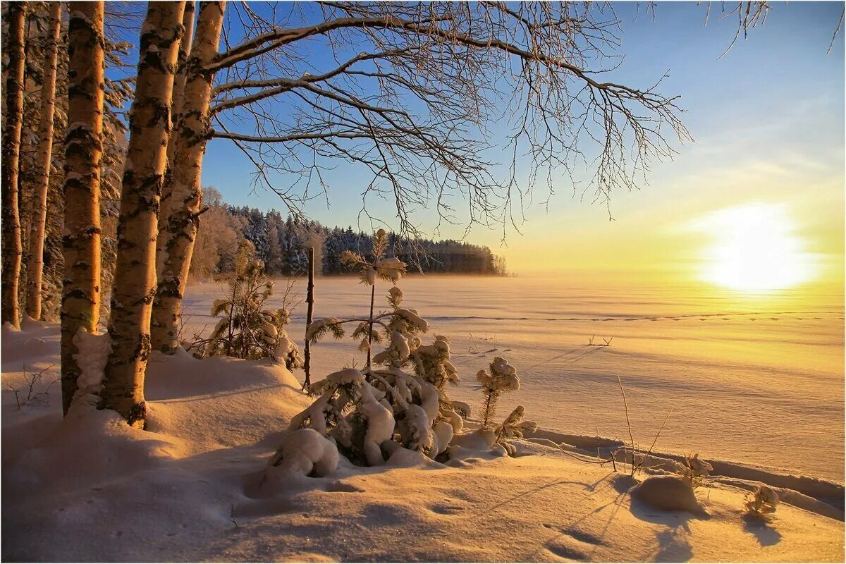 Прекрасного февральского дня картинки. Зимнее утро. Солнечное зимнее утро. Утро зима. Солнечный зимний день.