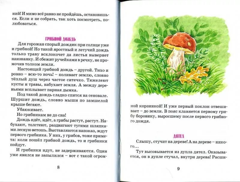 Рассказ про грибной дождик 3 класс. Рассказ о грибном Дожде 3 класс литературное чтение. Грибной дождь описание. Рассказ о грибном Дожде 3 класс. Сочинение на тему красота грибов