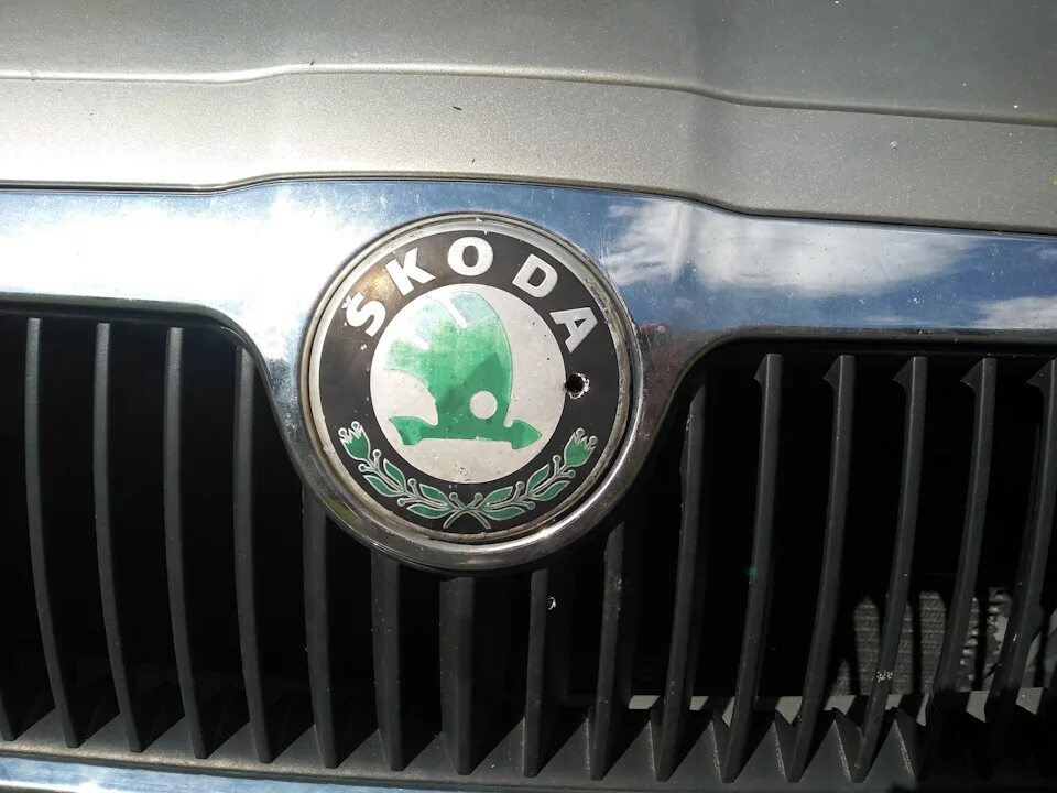 Что изображено на логотипе шкода. Значок skoda a5 octavia. значок skoda 2025. эмблема шкода октавия 2009. шкода значок 2000.