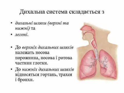 Санатории верхние дыхательные пути