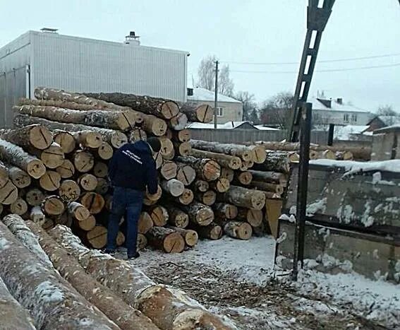 Заходишь в лесхоз и сразу чувствуешь. Закупка лесоматериалов. Тендере дерево. Лесхоз в Ербогачене. Вывоз деревьев.