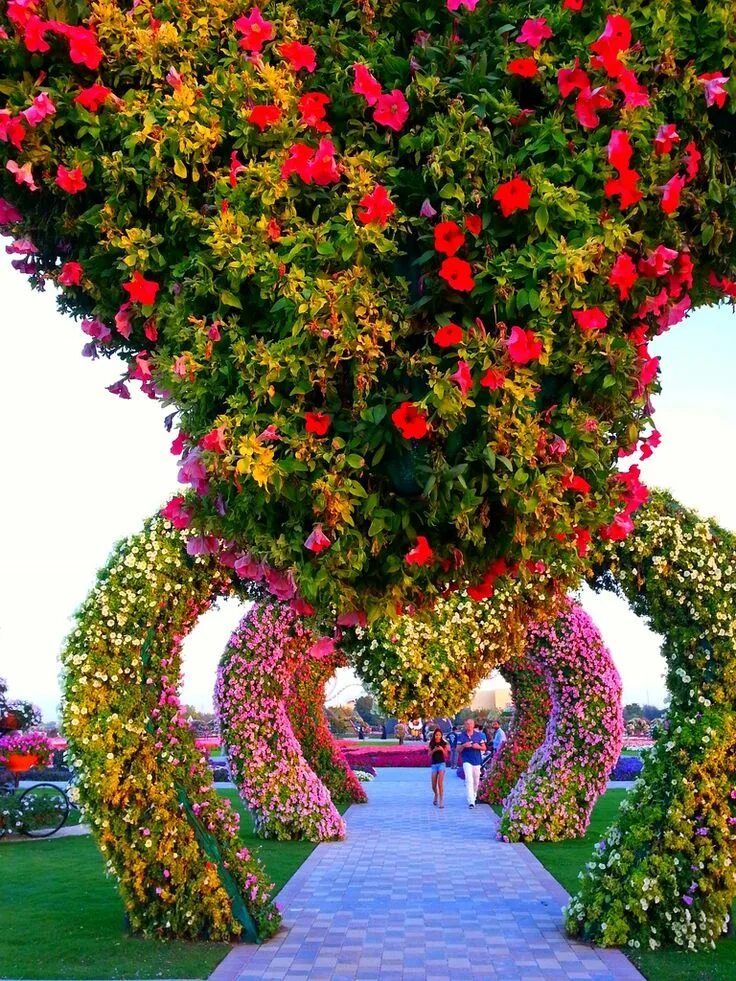 Flowers paradise. Фловер Гарден Дубай. Парк цветов Miracle Garden Дубай. Флауэрс Гарден парк. Миракл парк в Дубае.