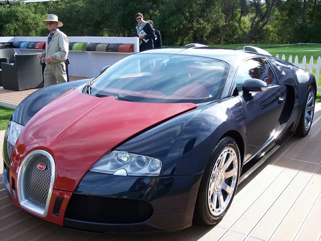 Кому принадлежит бугатти. Bugatti Veyron 2007. Bugatti Veyron Hermes. Bugatti Veyron FBG. Бугатти Хермес.