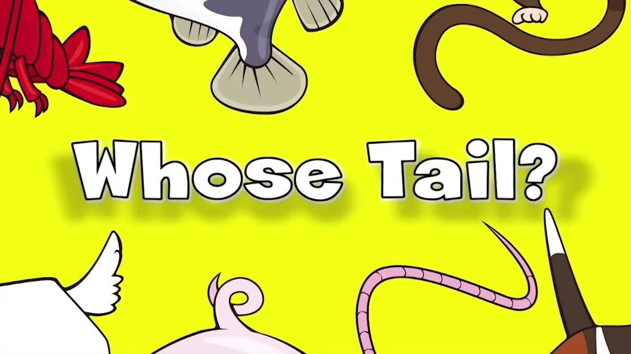 16 whose is this. Whose tail. who картинка для детей. whose tail is this. whose tail is it.