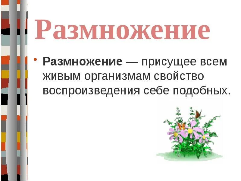 Свойства присущие живым организмам. Размножение свойство живых организмов. Свойства присущие только живым организмам. Свойство организмов воспроизводить себе подобных.