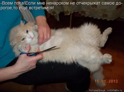 Ненароком
