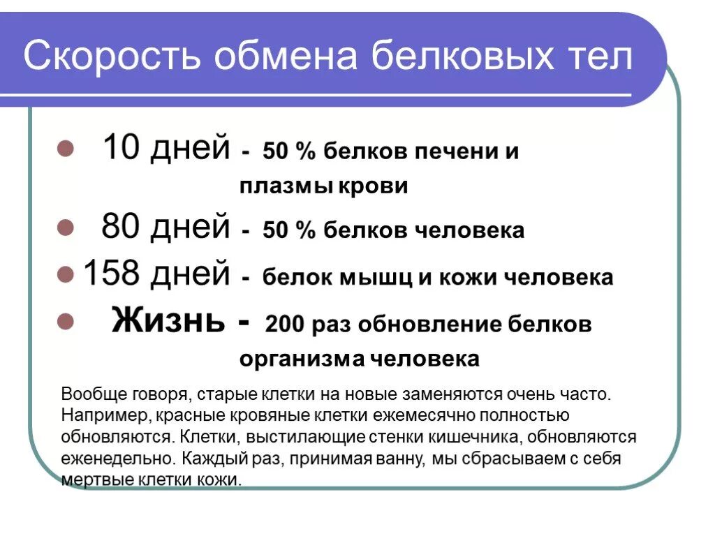 Время белкового. Обновление клеток в организме. Время обновления клеток в организме. Ритм обновления организма. Сроки обновления клеток организма.