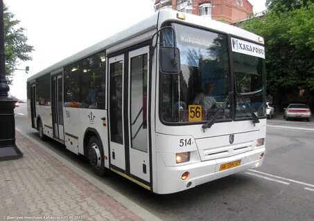Расписание автобуса 514 из плескова