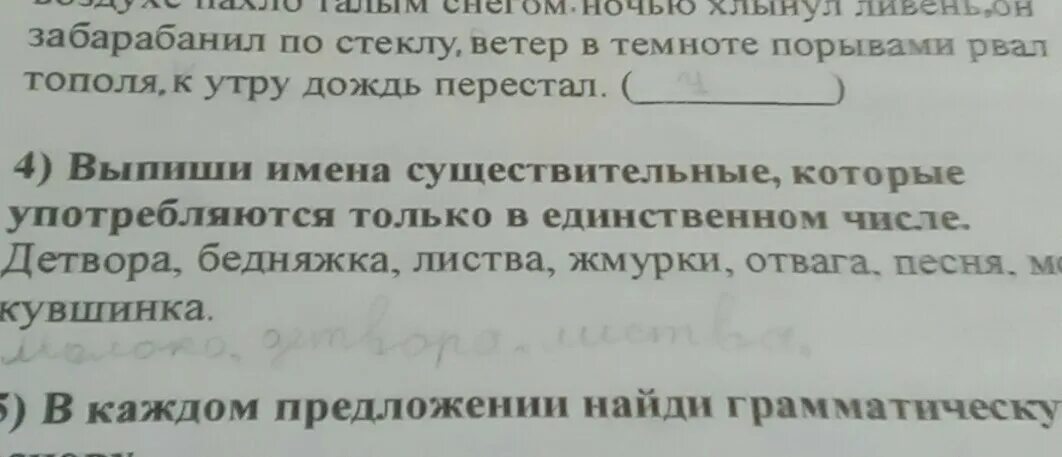 Детвора единственное число. Число слова Жмурки.