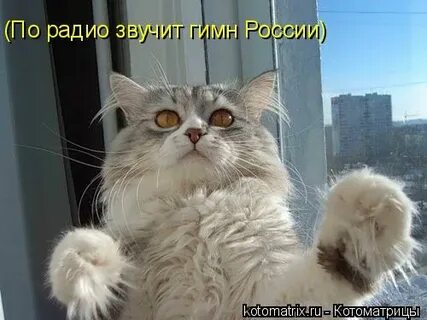 Ангажированный это простыми словами