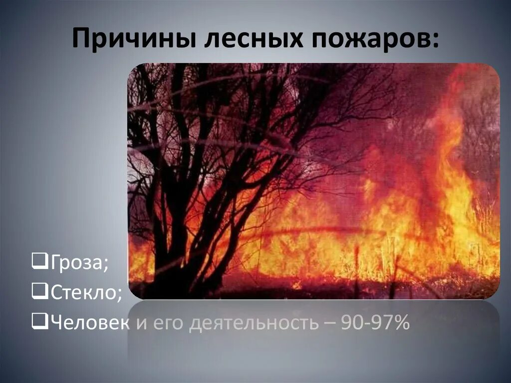 Лесные пожары презентация. Лесной пожар по ОБЖ. Причины лесных пожаров. Презентация на тему пожар в лесу.