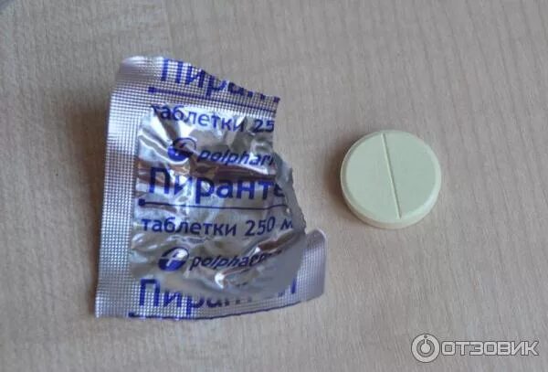 Как часто пьют таблетки от глистов. Большая таблетка от глистов для человека. таблетки от глистов для человека большая таблетка. таблетки от глистов большие круглые. таблетки от круглых глистов.