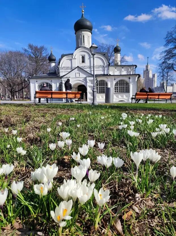 Весенняя Москва. Зарядье весной фото. Красивые места в москве весной