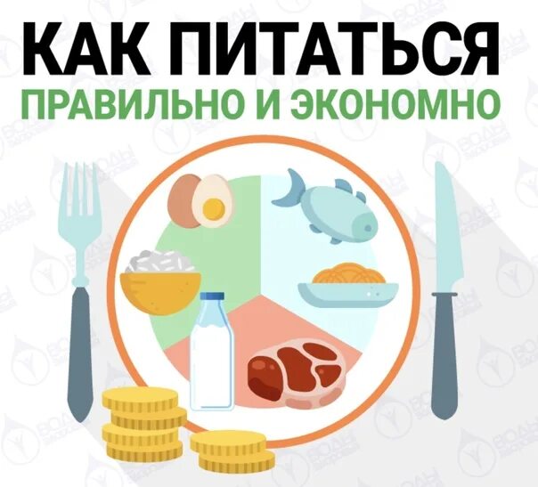 Правильно питание минск. Как питаться экономно и правильно. как экономно питаться.