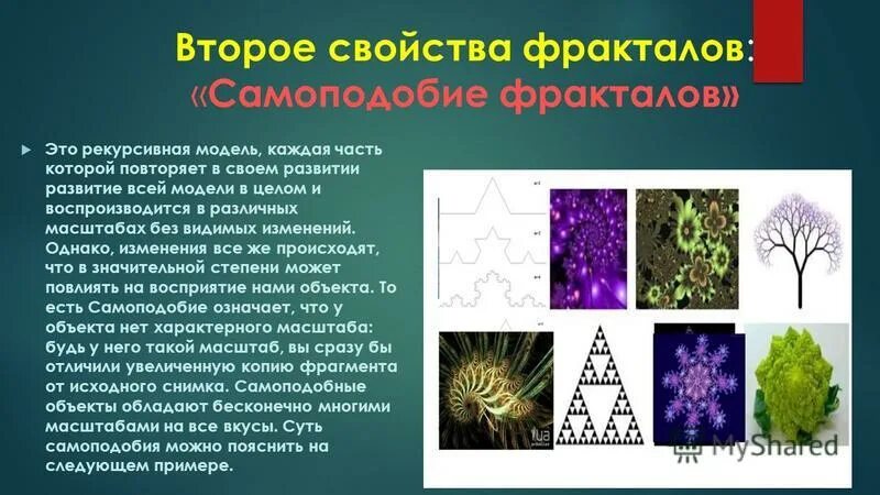 Без видимых изменений. Фракталы геометрия красоты проект. Свойства фракталов. Самоподобие. Примеры самоподобия фракталов.