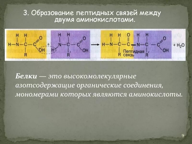 Образование первой пептидной связи. Схема образования пептидной связи в молекуле белка. Образование пептидной связи между аминокислотами реакция. Образование пептидной связи между аминокислотами схема. Схема образования пептидной связи между двумя аминокислотами.