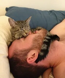 Почему кошки любят спать в ногах