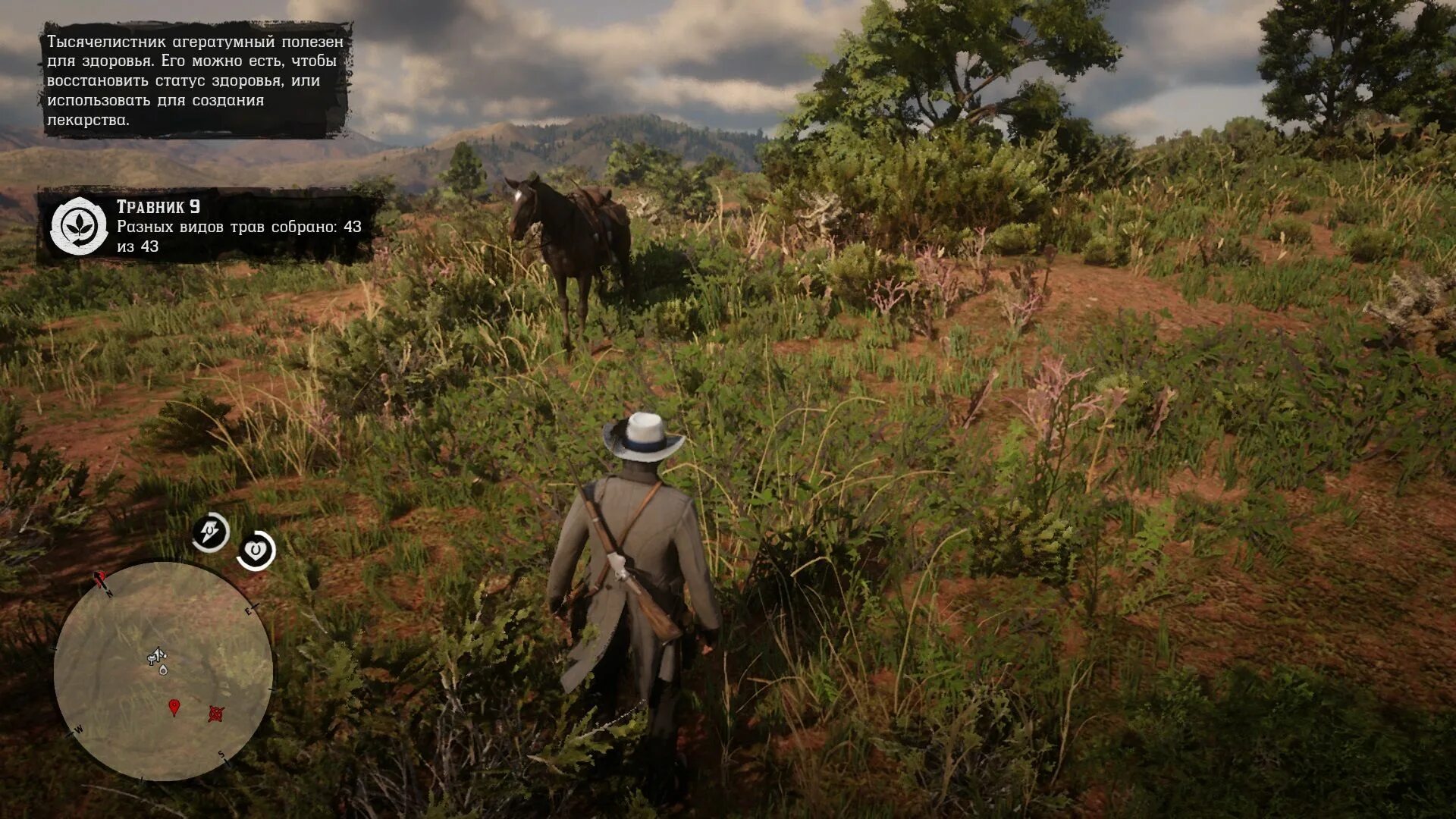 Ошибка ffffffff в рдр 2. Rdr2 inventory. рдр 2 нужен xbox live. каймановая черепаха rdr 2 для чего нужен. где травник в рдр 2.
