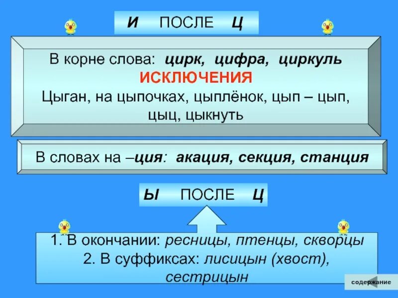 Какие слова оканчиваются на ешь. Сестрицын Лисицын. Циркуль цифра цирк. Сестрицына ы или и после ц. И-Ы после ц правило.