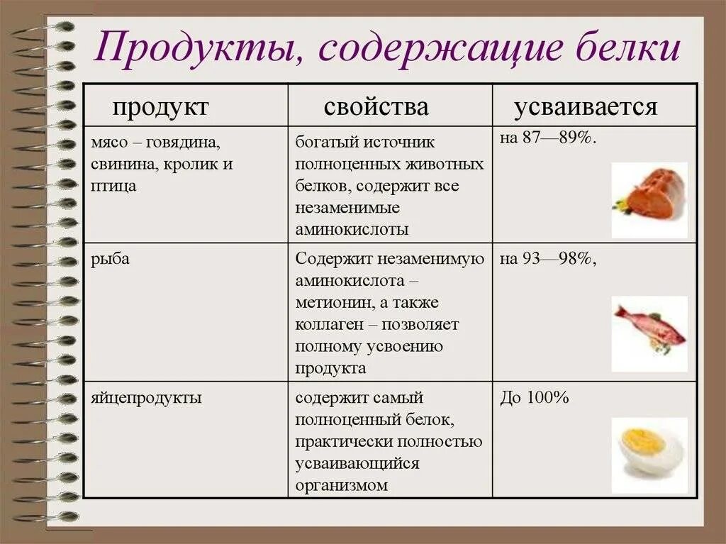 Список продуктов содержащих белок. Список продуктов в которых содержится белок. Белок список продуктов таблица. Продукты богатые белком таблица.