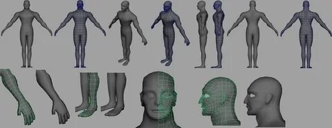 Master meshes