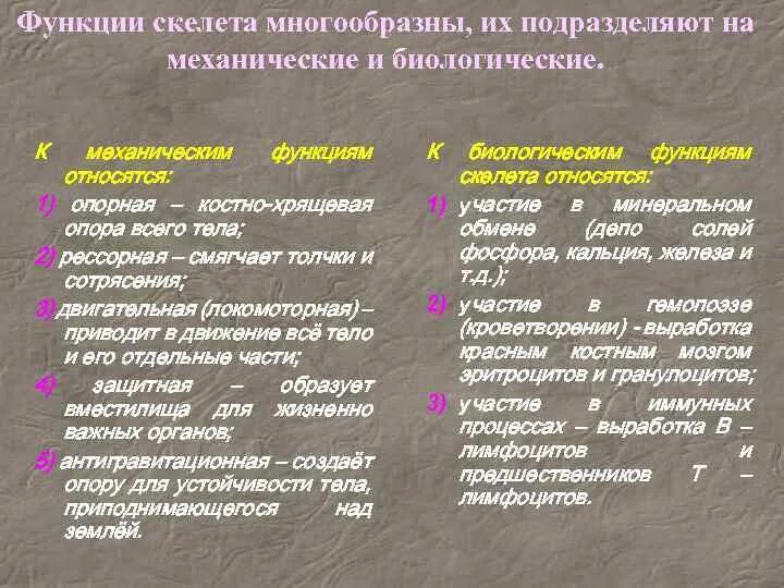 Функции скелета человека механическая. Функции скелета. Механические и биологические функции скелета. Механические функции скелета человека. Механическая функция костей скелета человека.