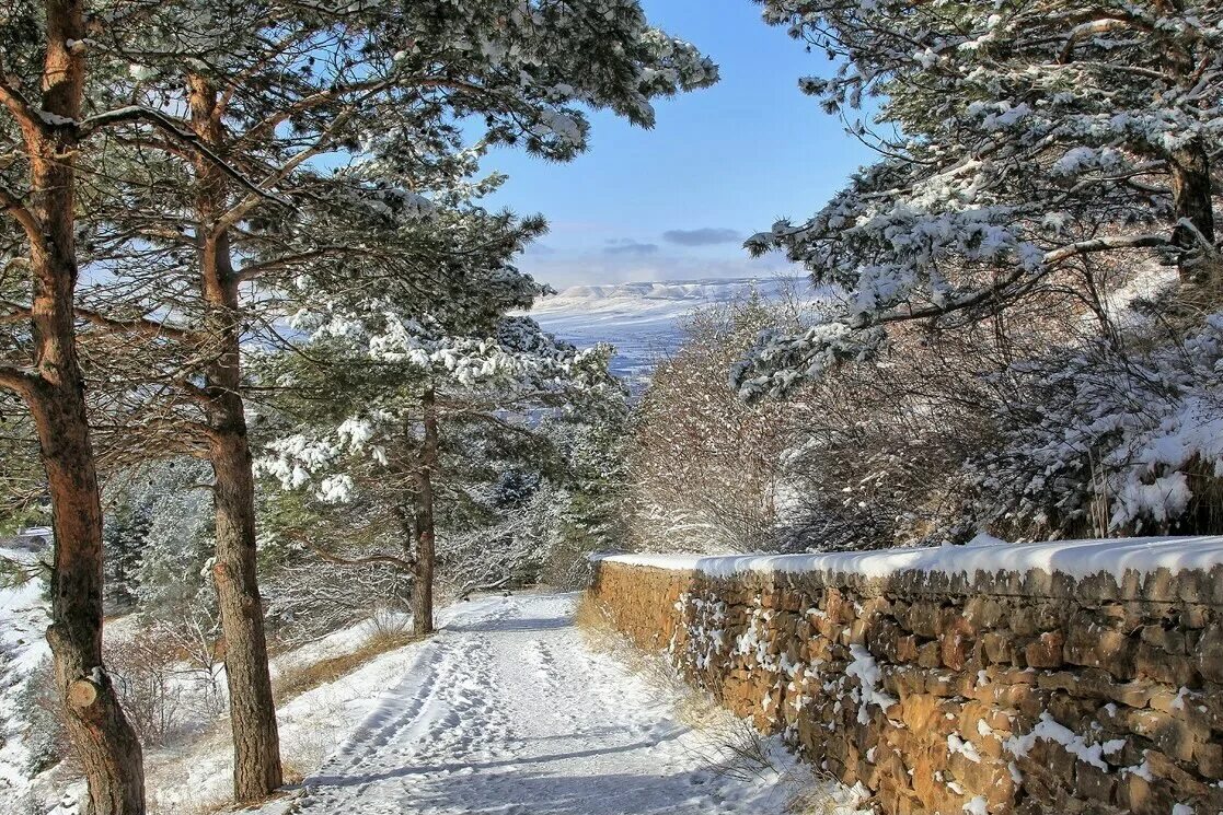 Курортный парк Кисловодск зимой. Кисловодский Курортный парк зима. Национальный парк Кисловодский зимой. Кисловодский Курортный парк зимой. Минеральные воды декабрь