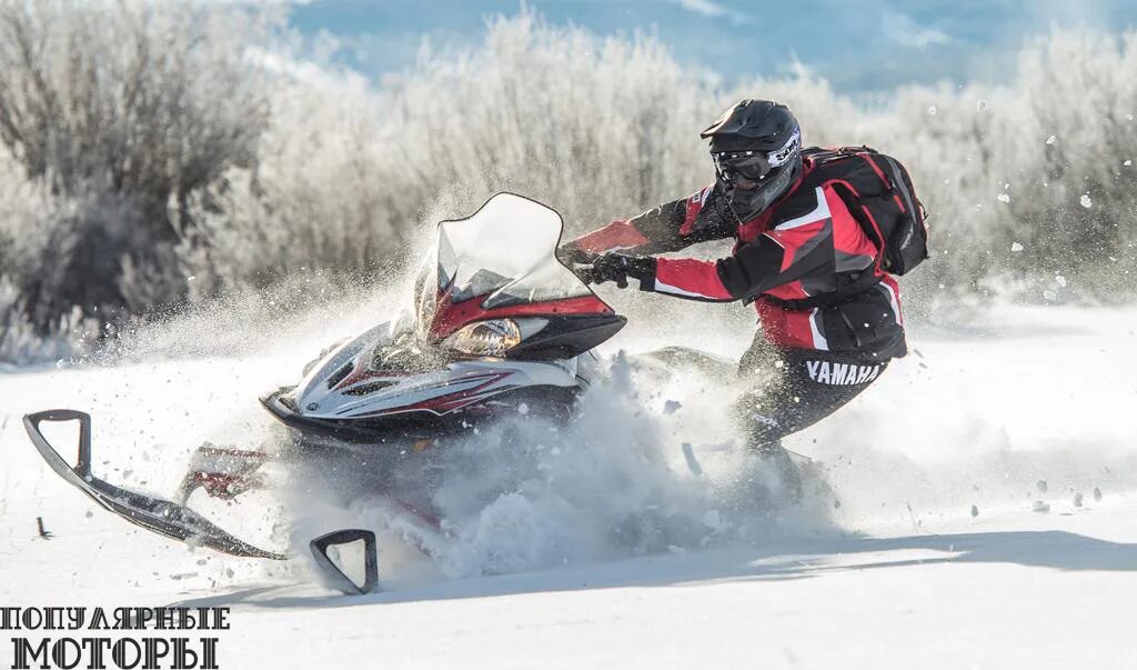 Снегоход апекс. Polaris rmk 800 assault. 2016 polaris snowmobile. Brp commander 800 снегоход. Брп ренегат снегоход.