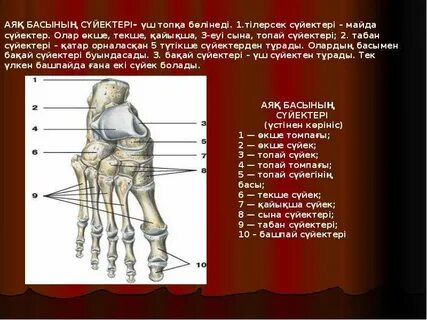 Аяқ фетишіне қатысты фотосуреттер