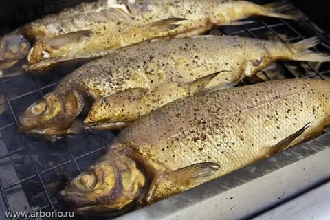 Подходящая рыба для копчения