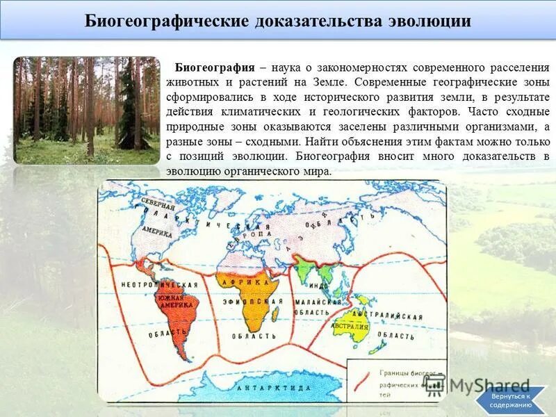 историческая биогеография. доказательства эволюции биогеографические доказательства. биогеография доказательства эволюции. типы ареалов в биогеографии. суть биогеографического доказательства эволюции.