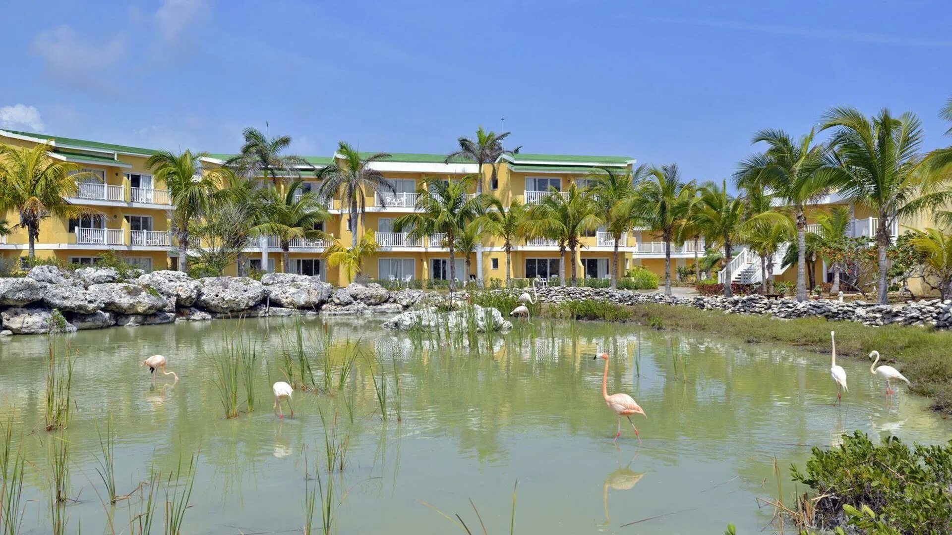 Отель Tryp Cayo Coco 4. Трип Кайо Коко Куба отель 4. Tryp Cayo Coco 4* Куба, Хардинес-дель-Рей. Melia Tryp Cayo Coco Куба. Трип кайо коко