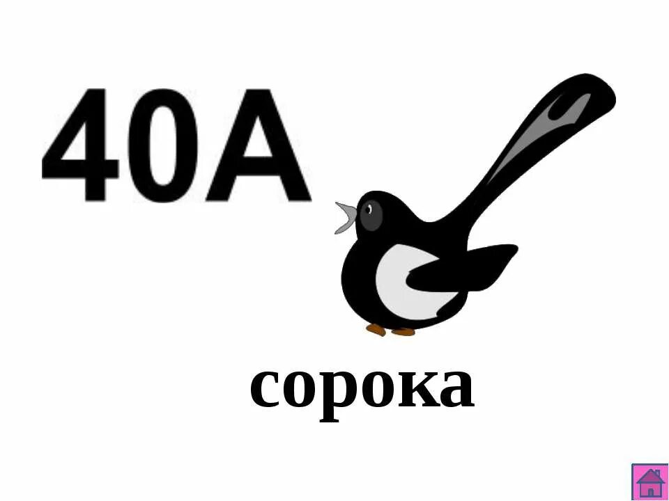 12 40 читать. Сорока 40. Сорока читает. 40 Сорок. Сорок-сорок.