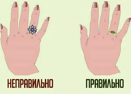 Что обозначает носила