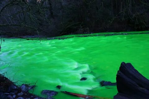 My green river