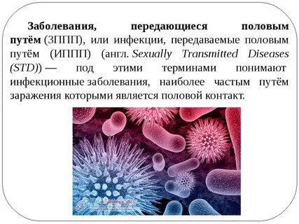 Перечислите иппп