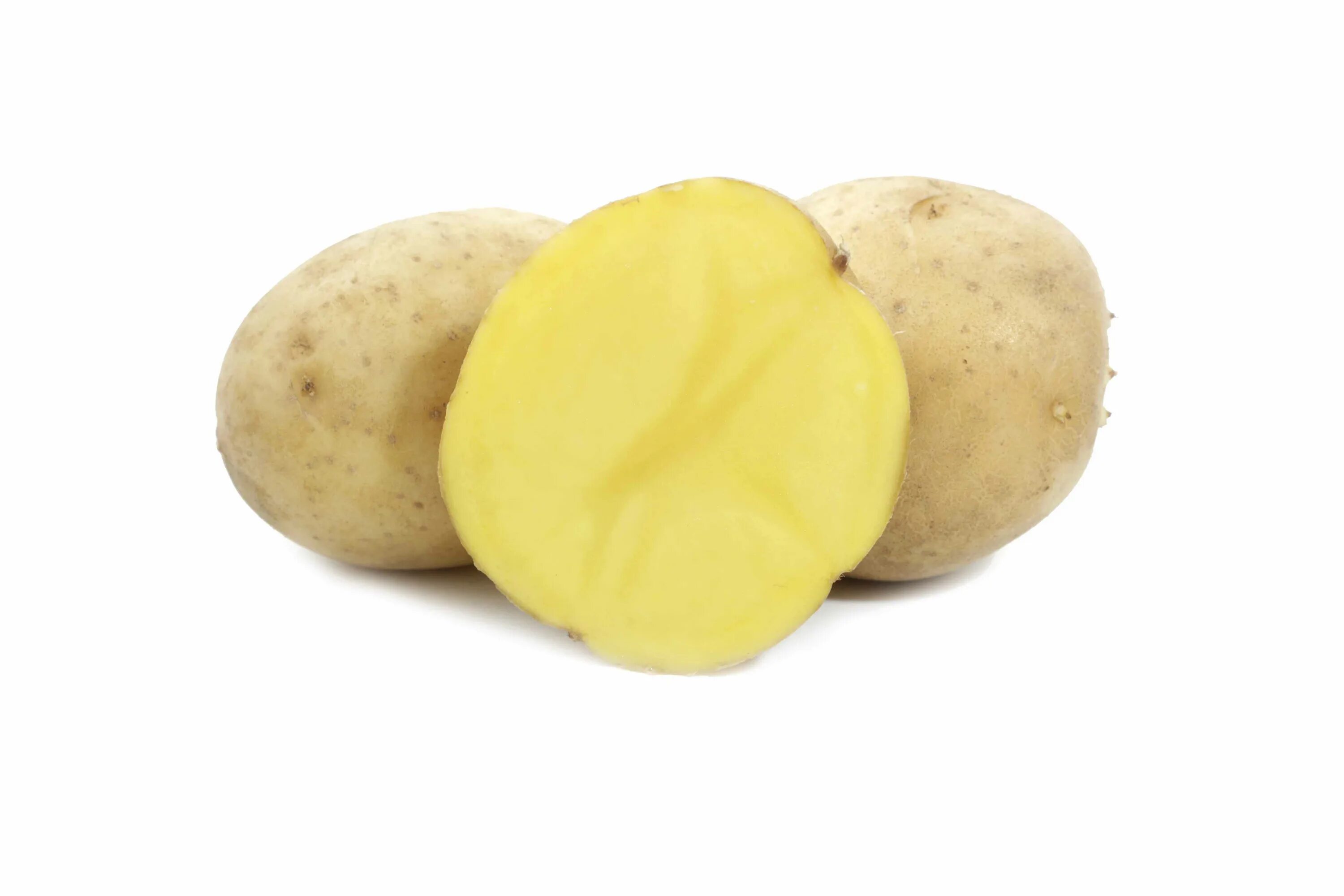 Гала картофель купить описание сорта фото отзывы. Семенной картофель Гала. Семенной картофель Балтик Роуз. Сорт Гала картофель Норика. Гала элита картофель.