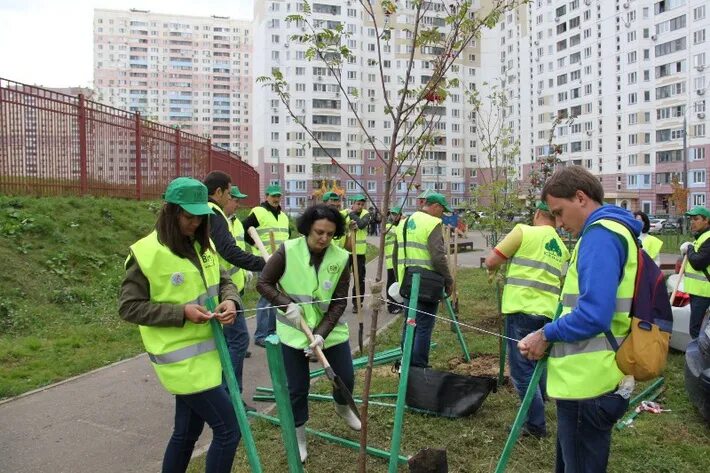 Новости трехгорка