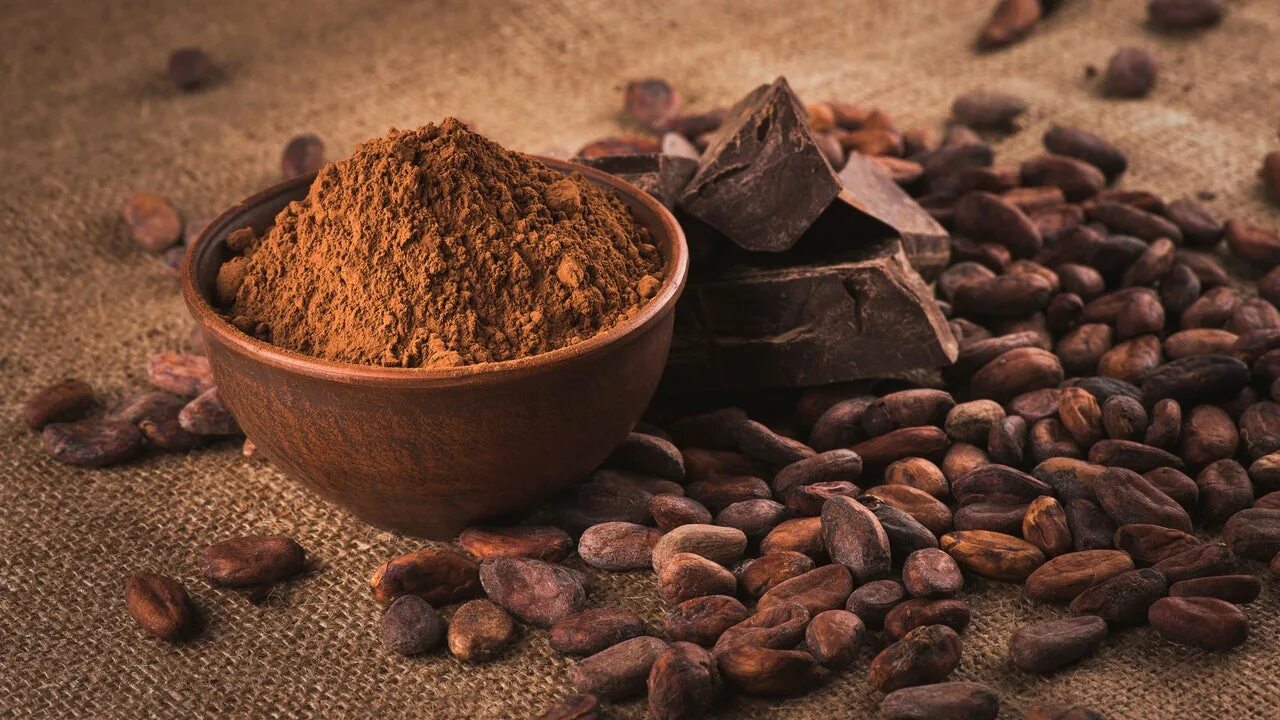 Chocolate is extracted from the