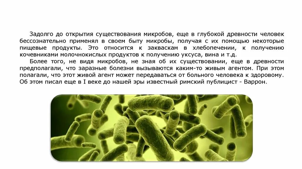 Происхождение бактерий. История развития микроорганизмов. История возникновения бактерий. Этапы развития микробиологии. Открытие бактерий.