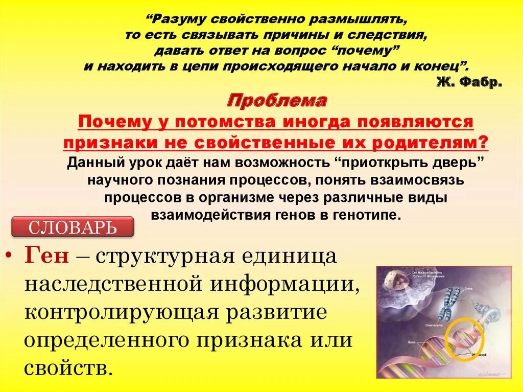 Свойства разума