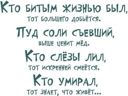 Бит жизни