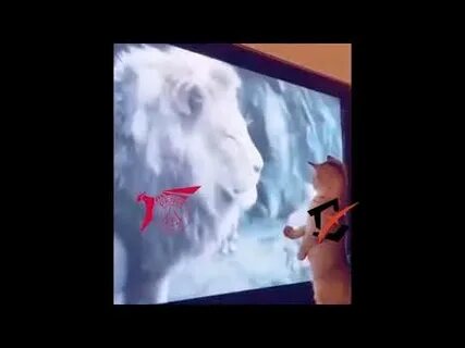 Опенинг мем