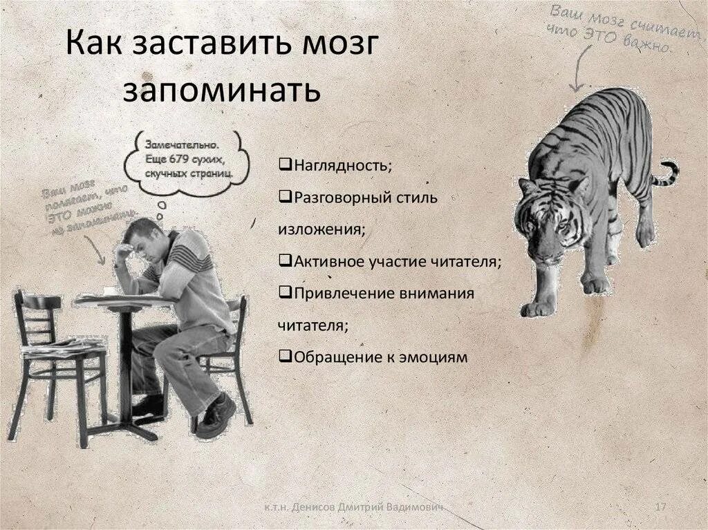 Как заставить работать организм. Как заставить мозг запоминать. как заставить мозг быстро запоминать информацию. заставить мозг работать. как заставить мозг работать.