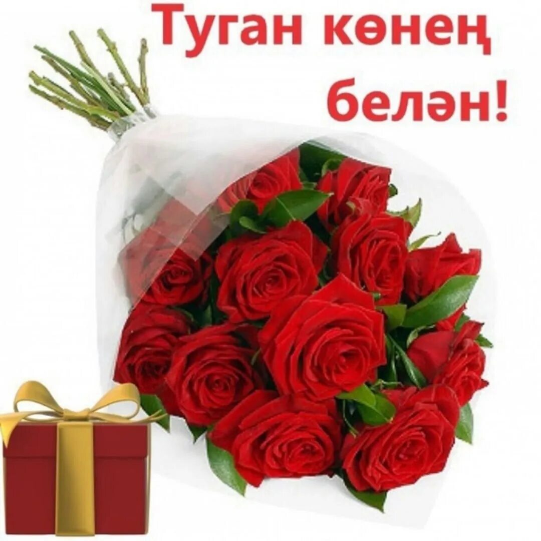 Булсын жыр